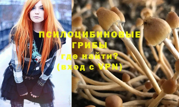 амф Алексин