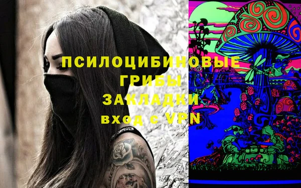 спиды Алзамай