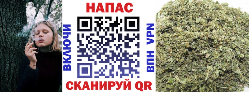 магазин  наркотиков  мега как зайти  МАРИХУАНА AK-47  Каргат 